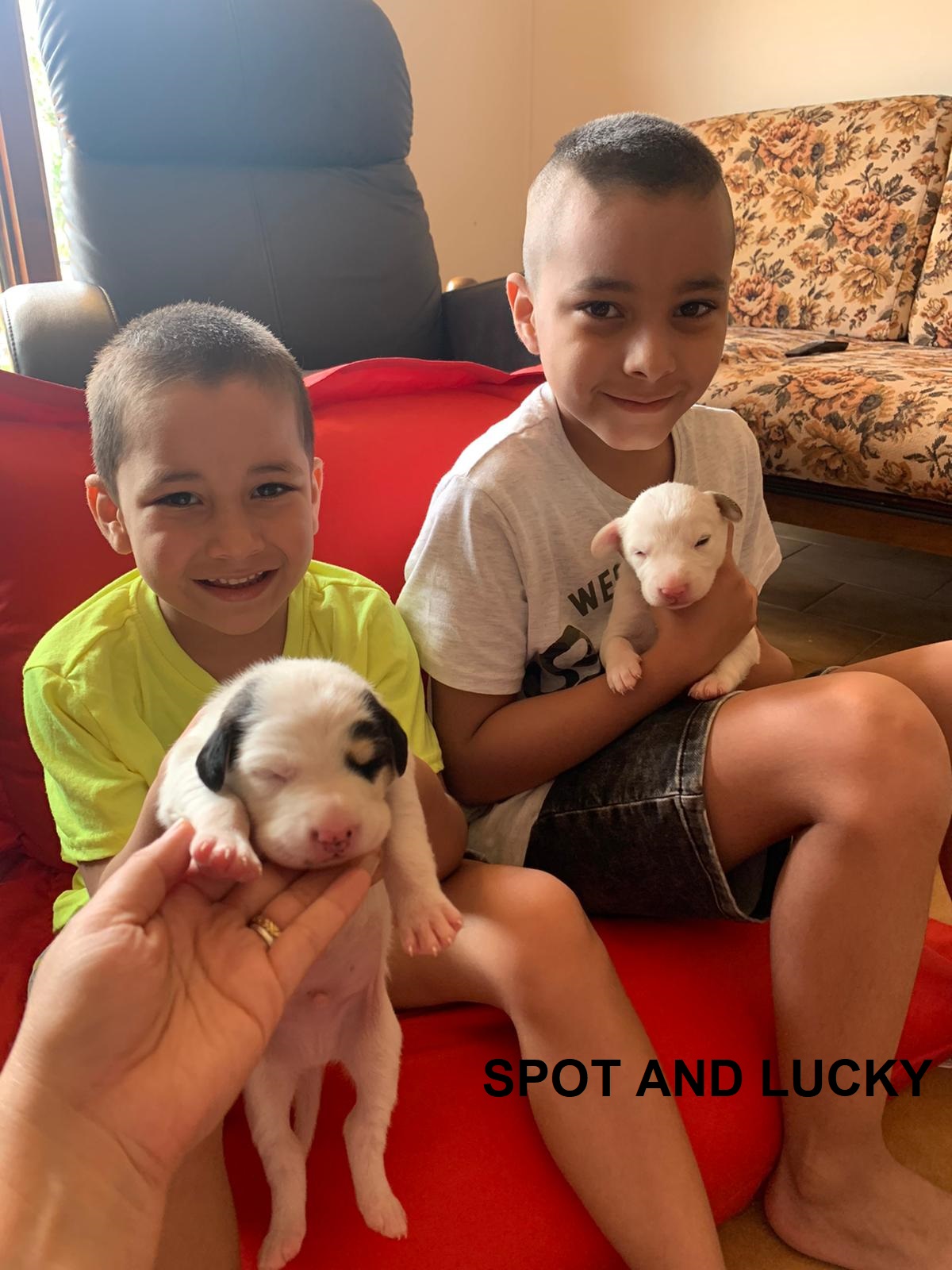 ISAÍ- IZAN- SIPALL 5-PET 3