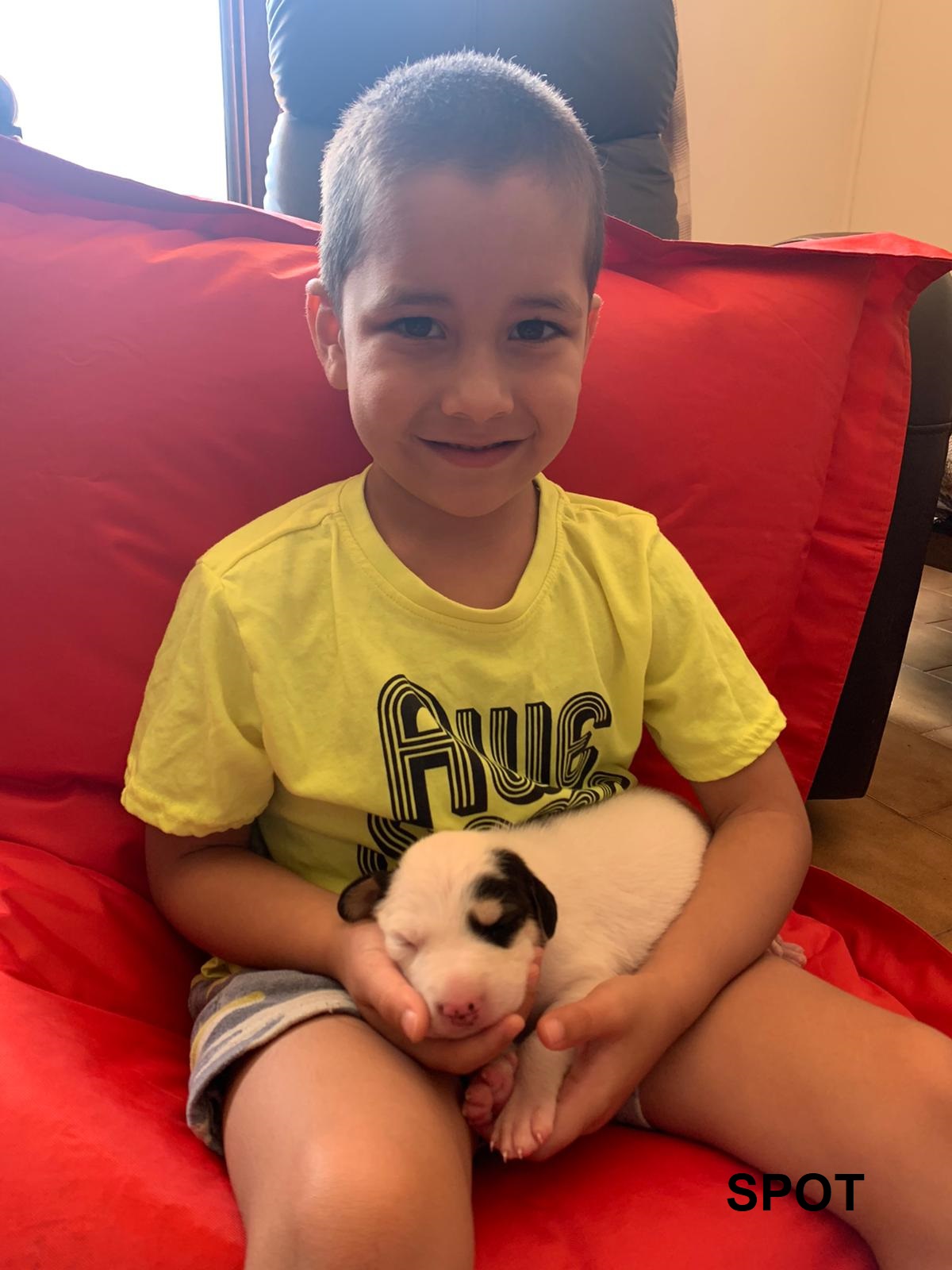 ISAÍ- SIPALL 5-PET 2