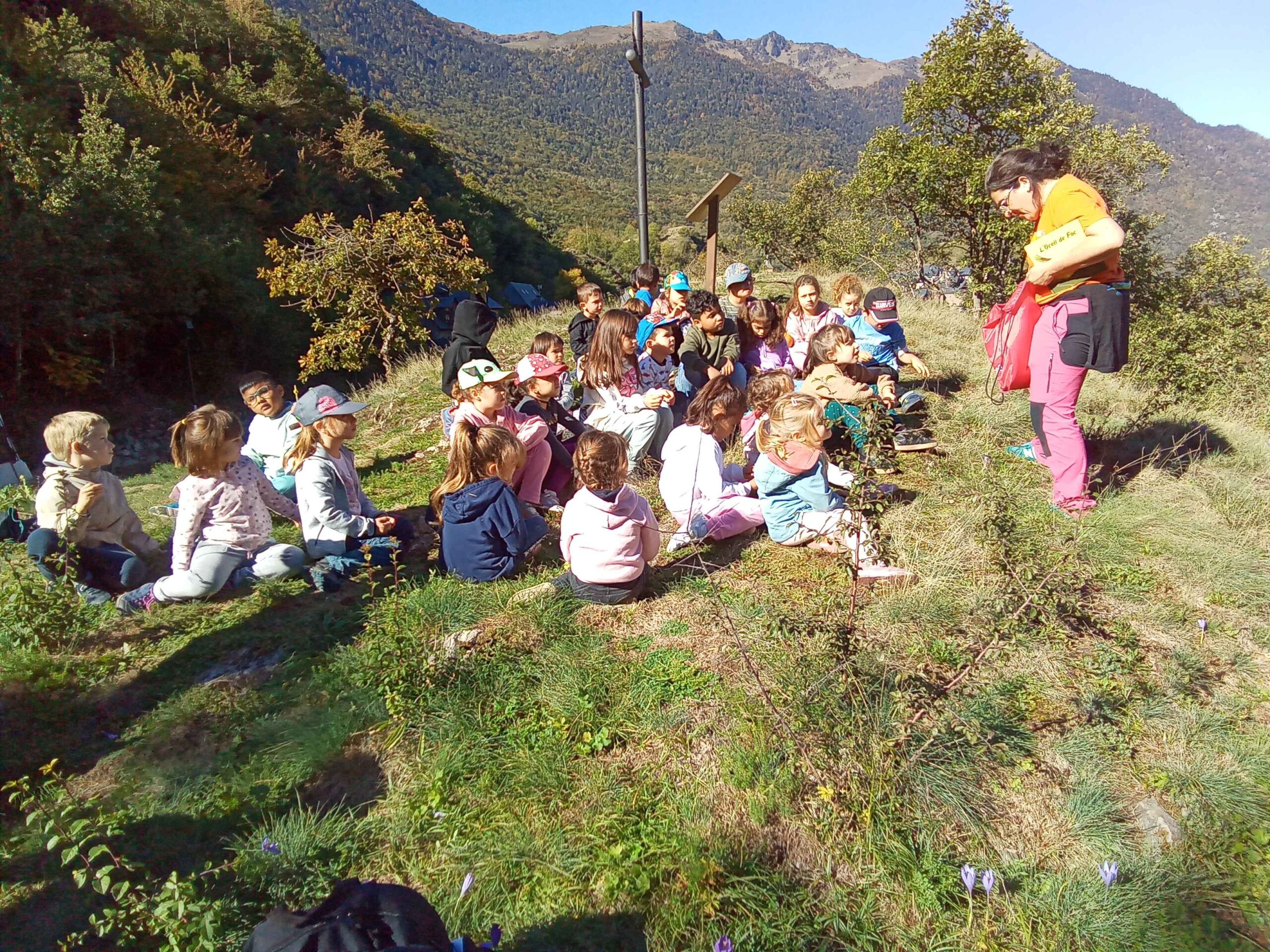 IMG_20221005_111815_685