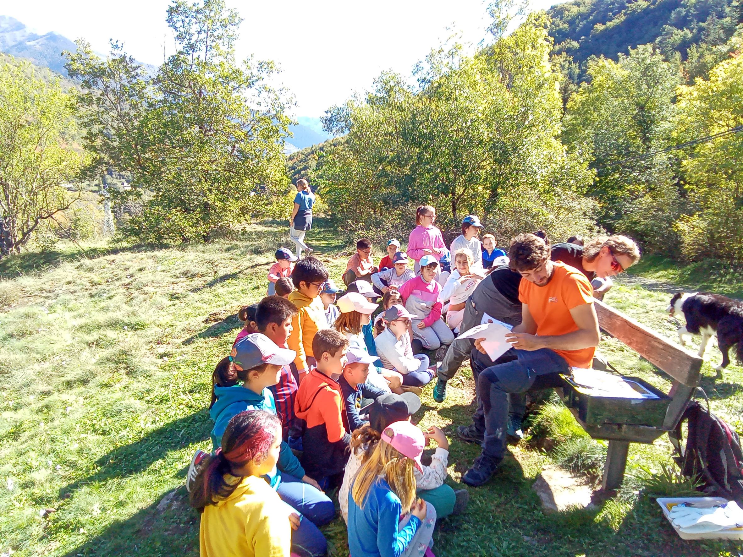 IMG_20221005_122229_580