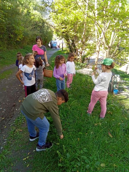 IMG_20221005_124018_042