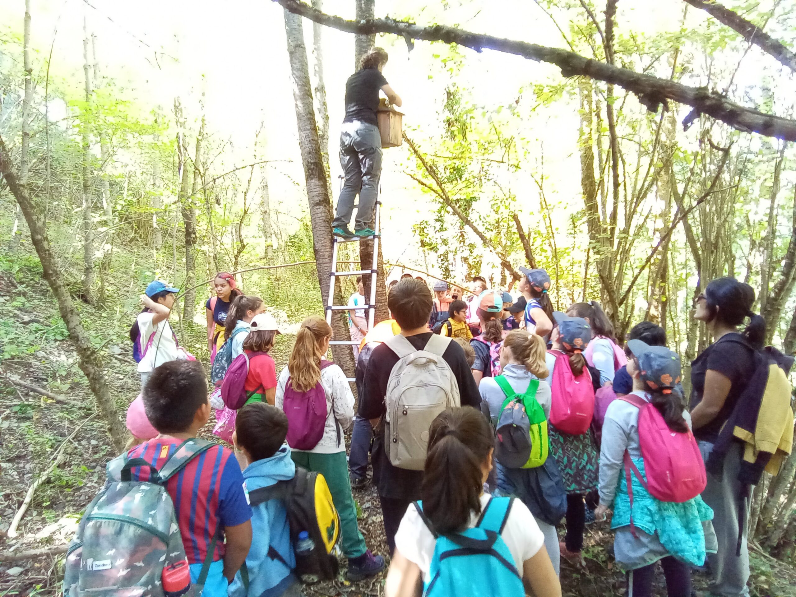 IMG_20221005_130326_030