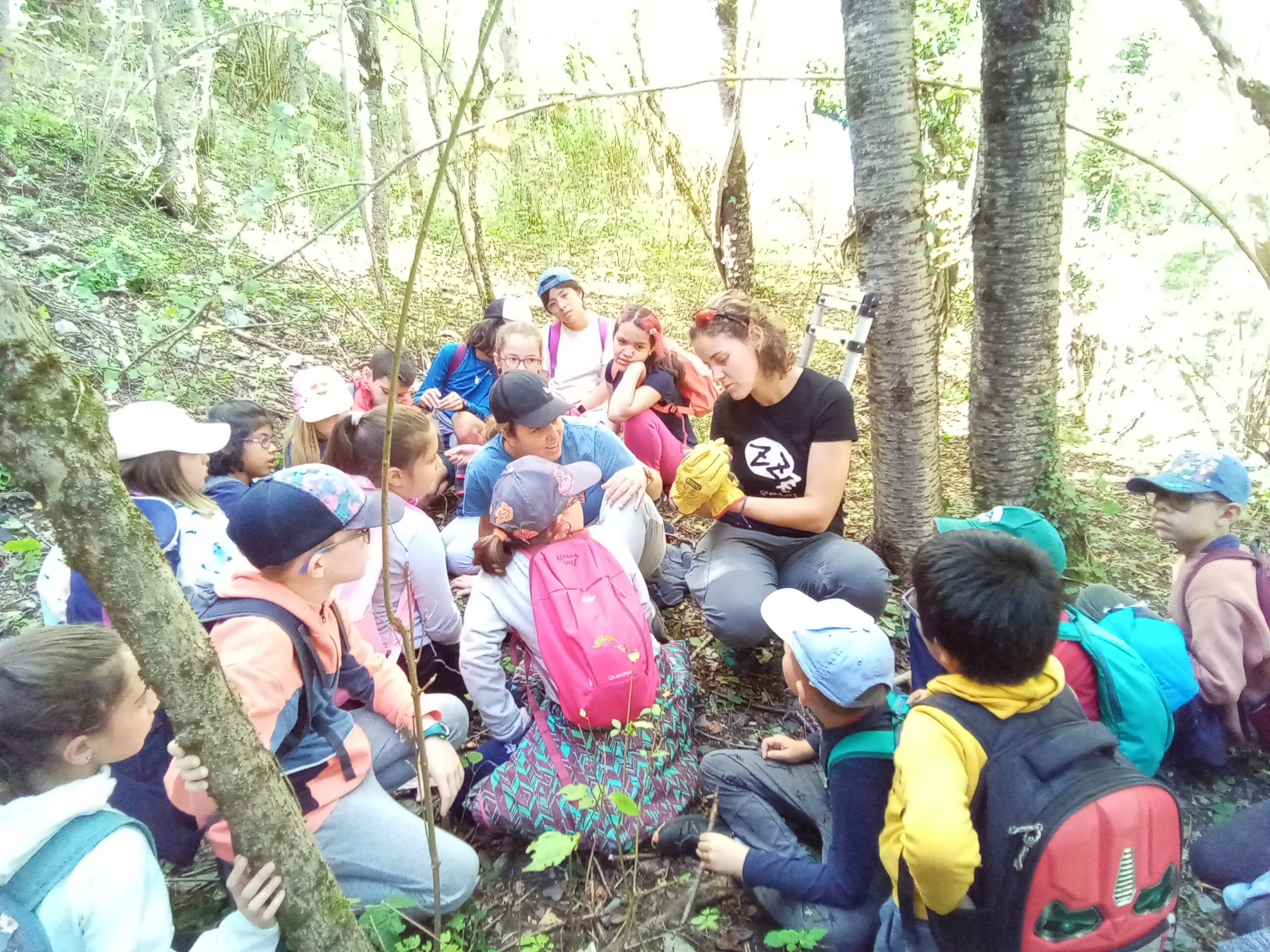 IMG_20221005_131609_341