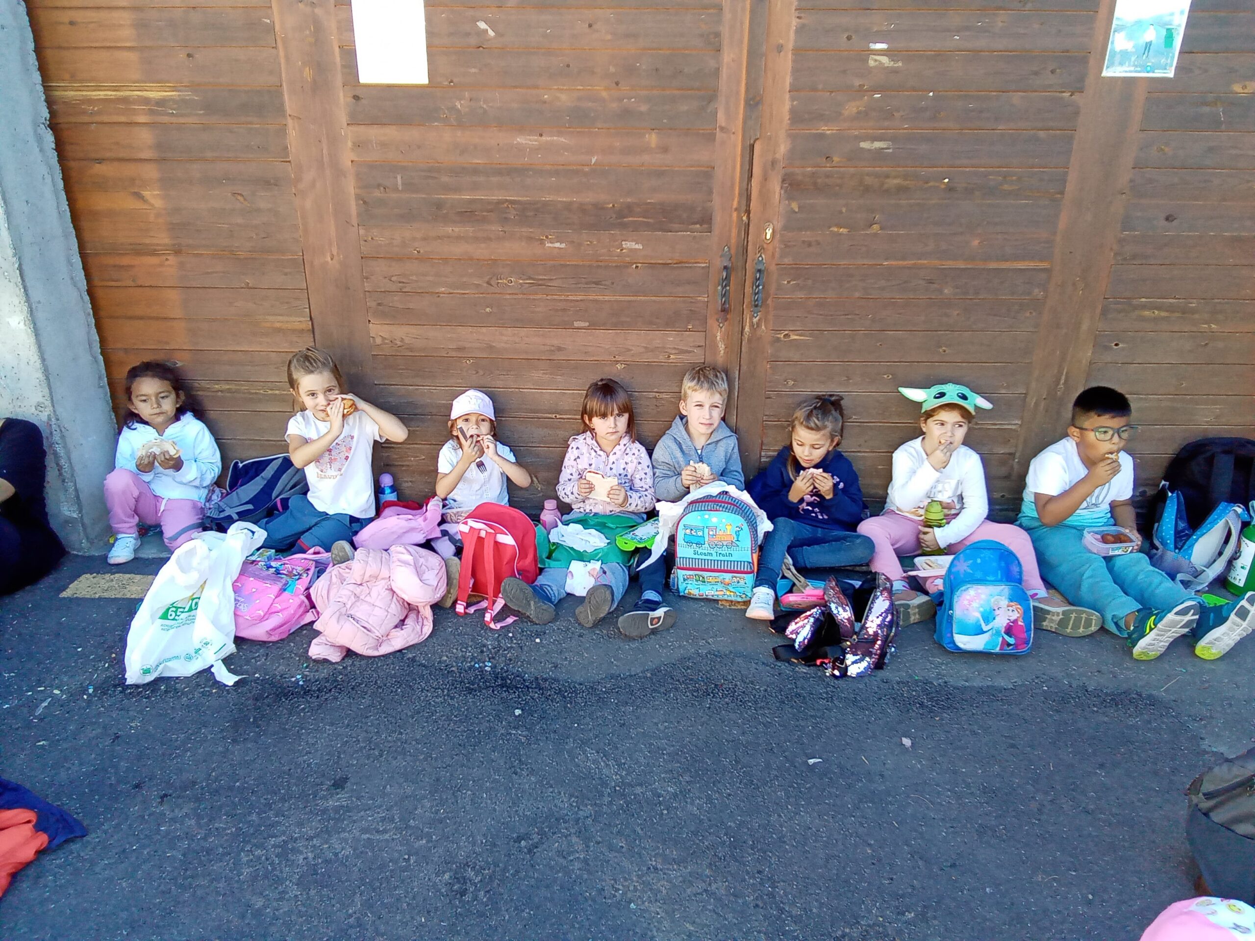 IMG_20221005_133556_739