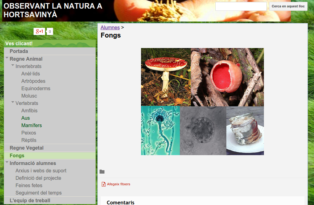 Cliqueu la imatge per visitar el nostre projecte.