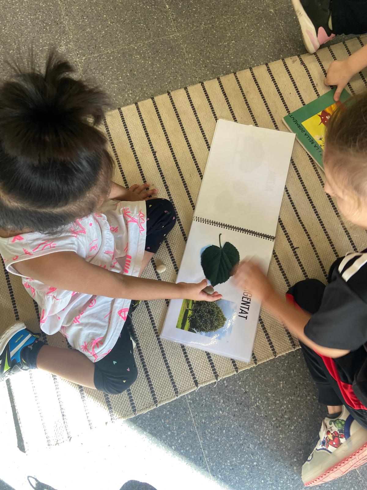 WhatsApp Image 2024-09-28 at 23.05.35 (6)