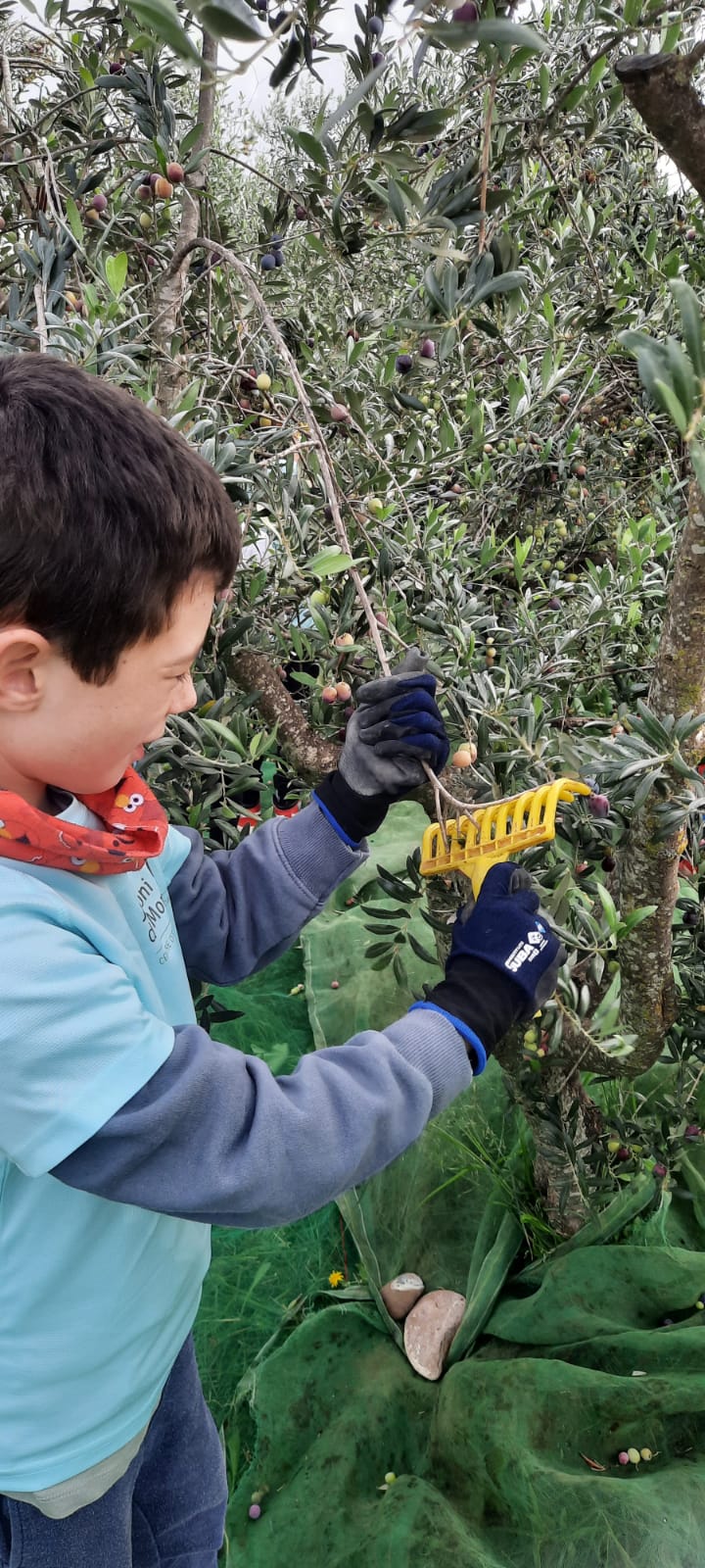 236e6f47-ab6b-4dae-85f6-d07cbb322ac5