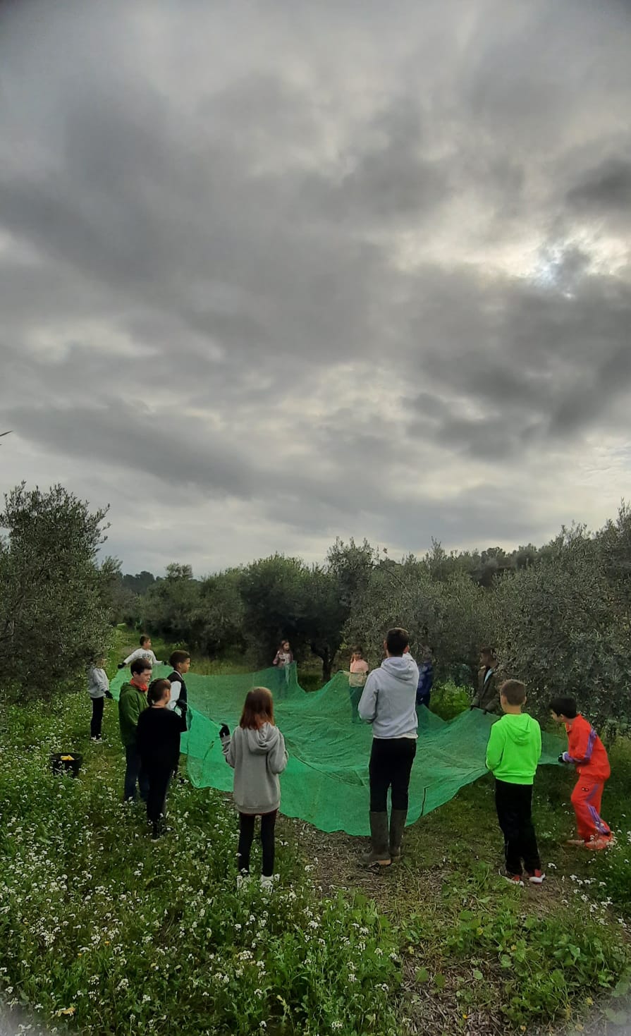 632c3895-49dd-44c3-9181-479064ab586e