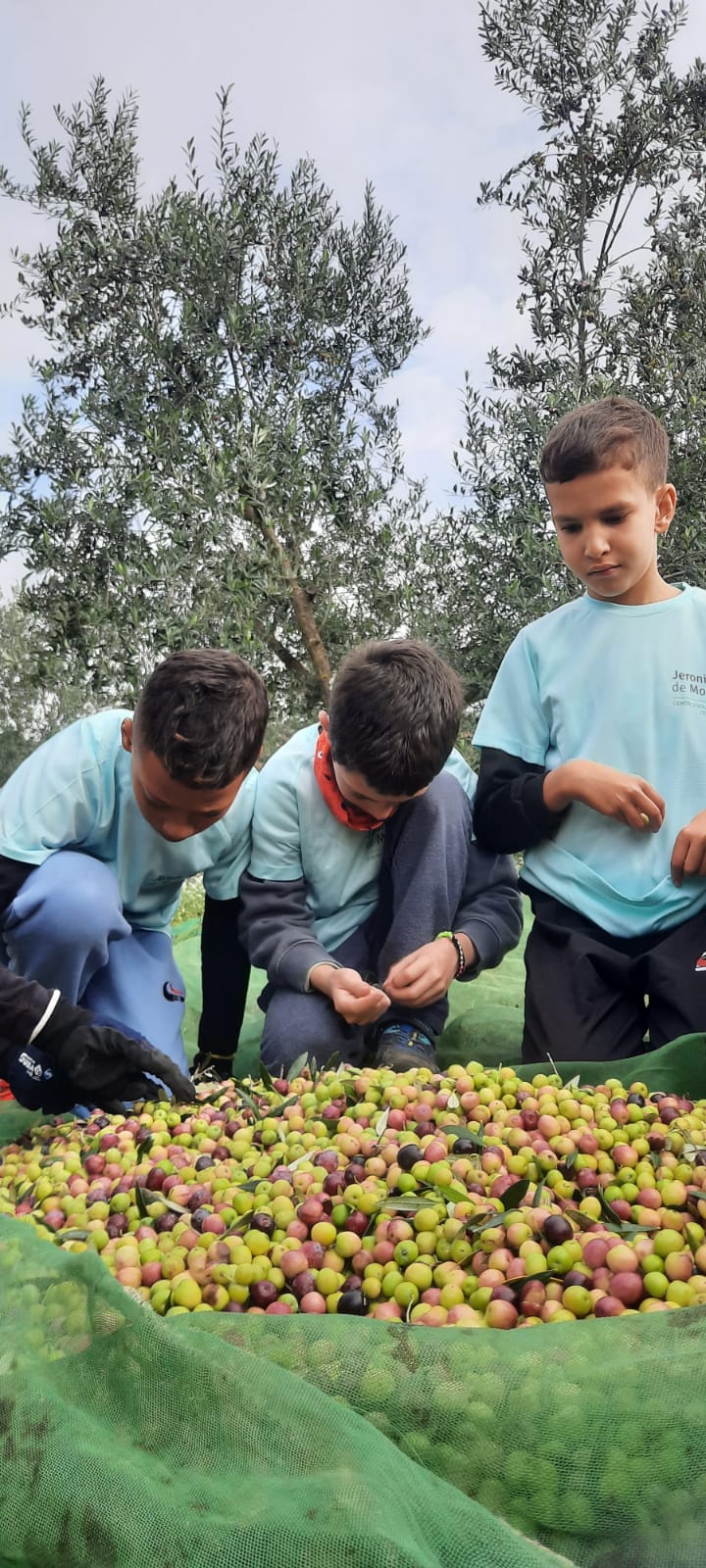 be281a49-5a78-4302-911f-91abda0ad4bf