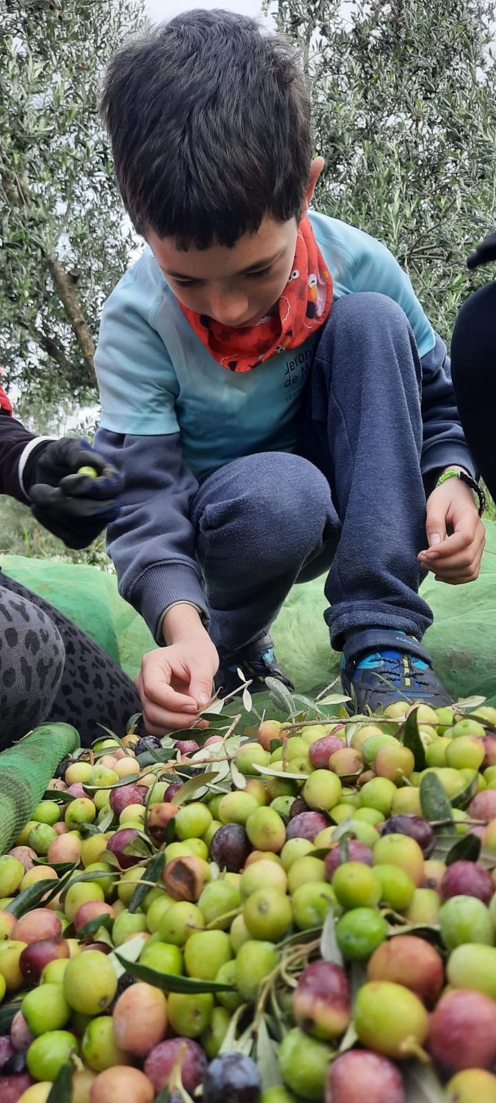 c5b123c8-bf25-48aa-a53f-16913af79f0b