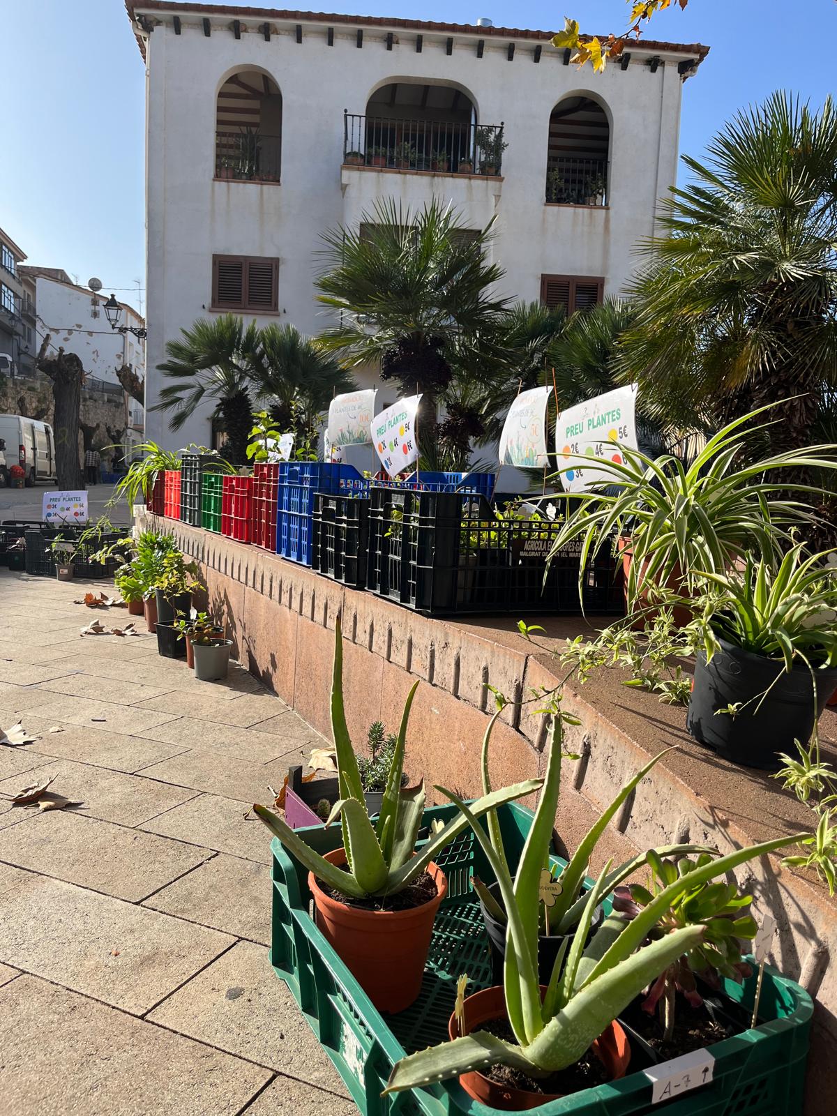 WhatsApp Image 2024-12-03 at 08.50.37 (2)