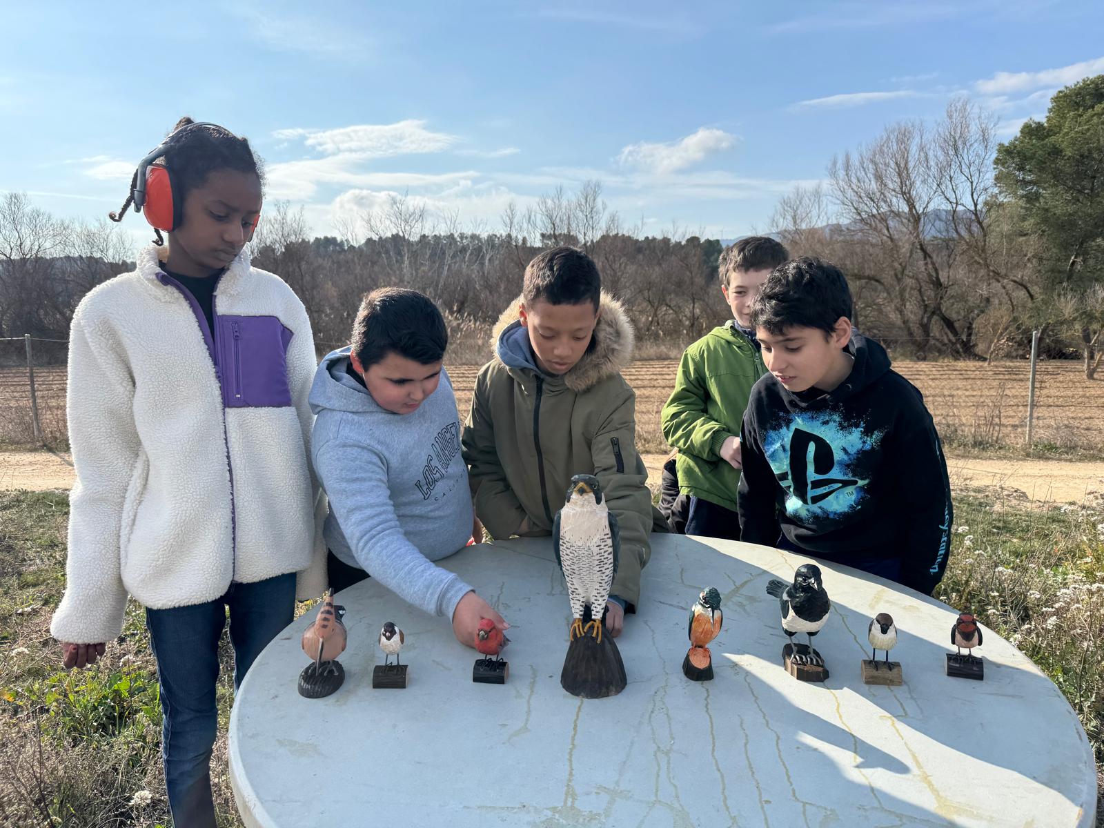 WhatsApp Image 2025-02-13 at 12.32.01