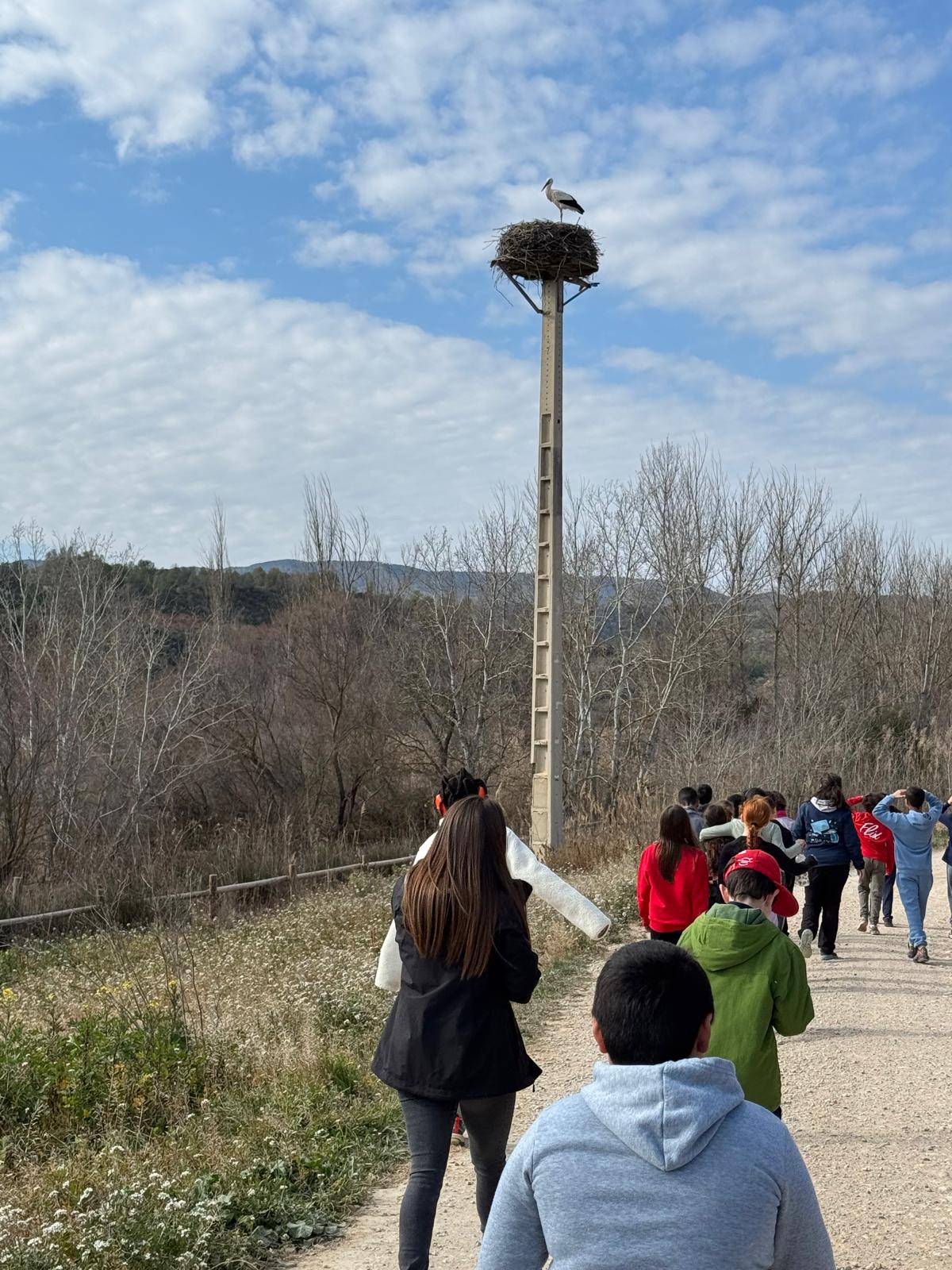 WhatsApp Image 2025-02-13 at 12.32.02 (1)