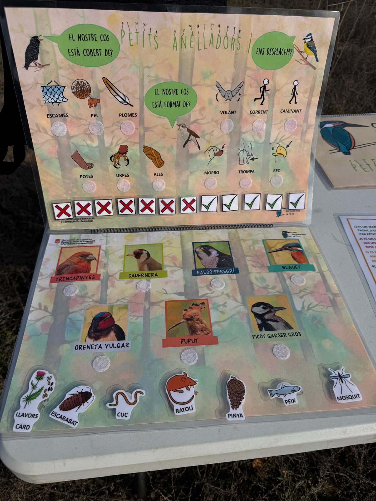 WhatsApp Image 2025-02-13 at 12.38.10