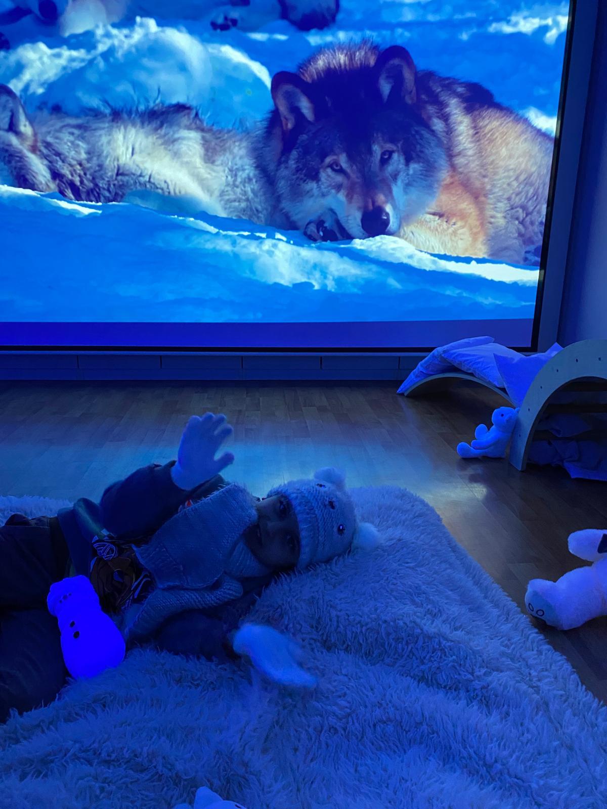 WhatsApp Image 2025-02-21 at 13.40.39 (3)