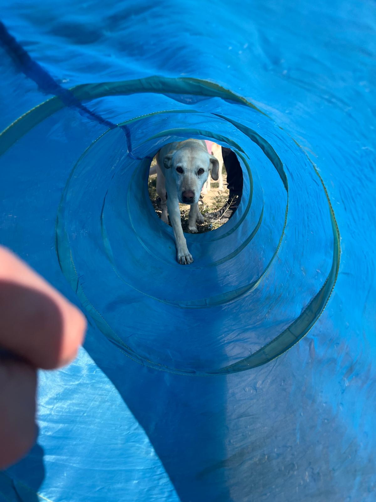 WhatsApp Image 2025-01-18 at 16.38.03