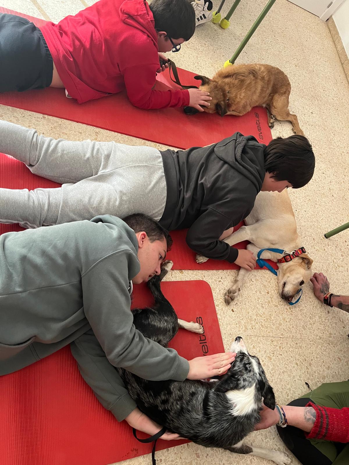 WhatsApp Image 2025-02-12 at 11.33.26 (6)