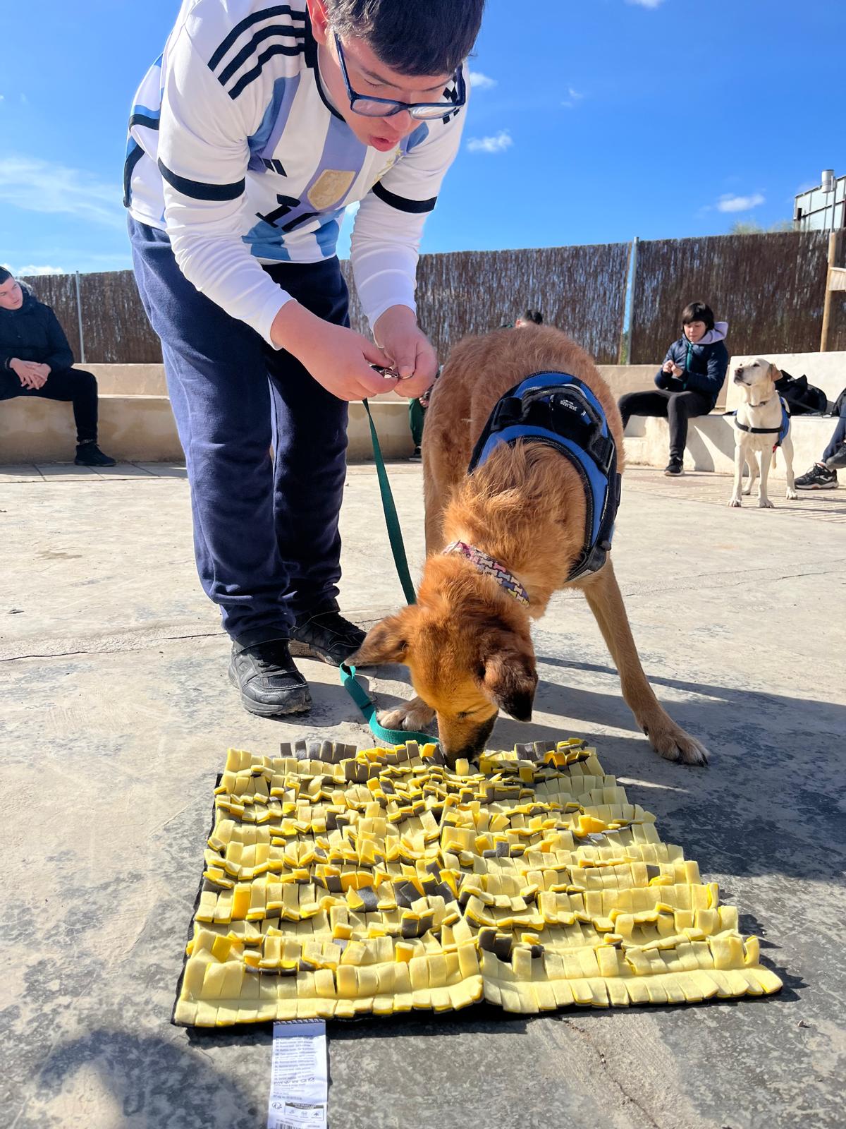 WhatsApp Image 2025-02-18 at 12.14.03 (1)