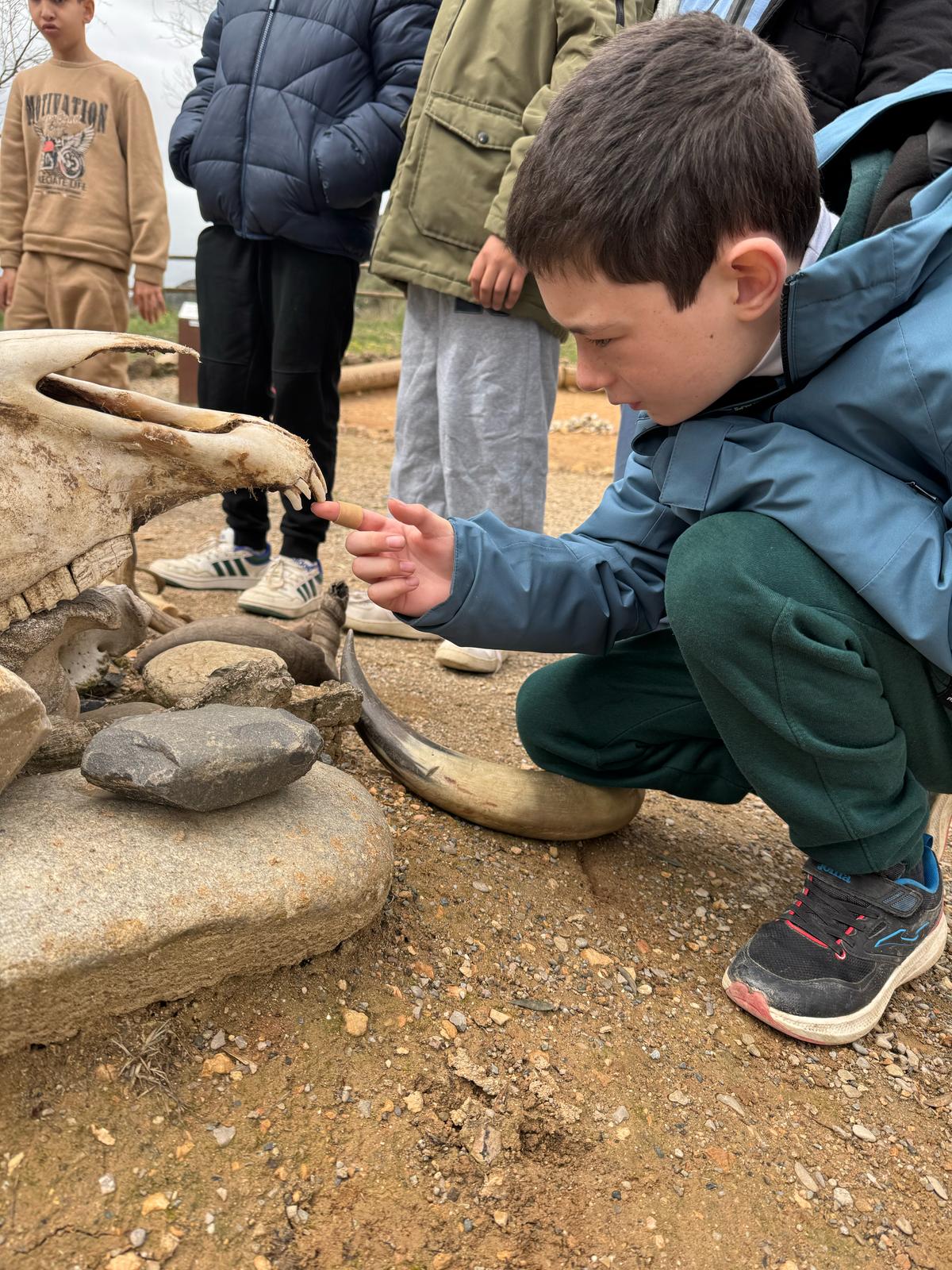 WhatsApp Image 2025-03-26 at 15.36.48