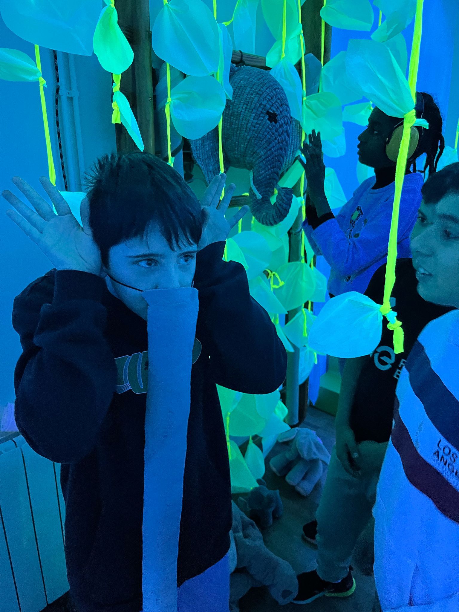 WhatsApp Image 2025-03-26 at 21.24.52