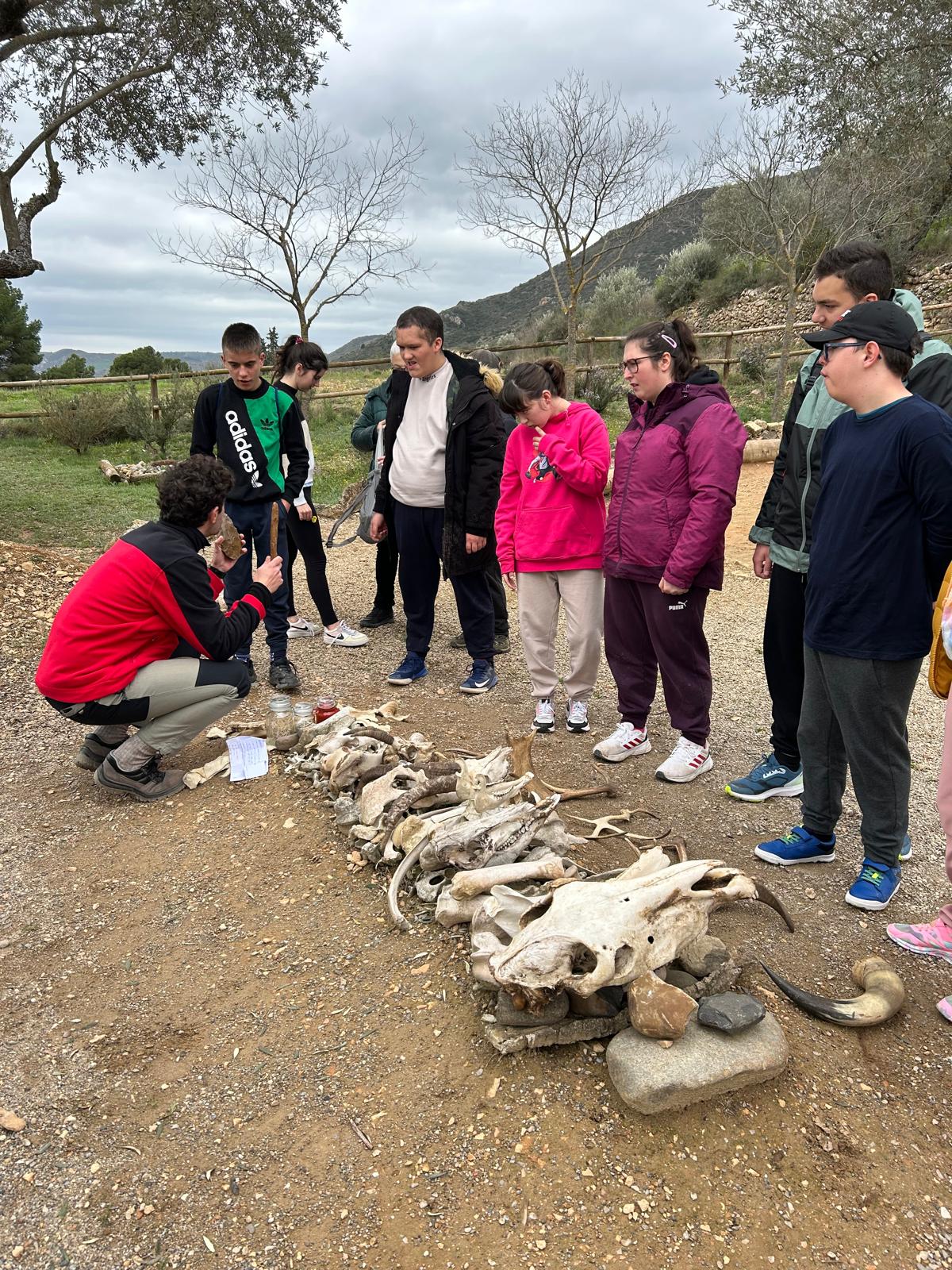 WhatsApp Image 2025-03-27 at 12.38.56 (3)