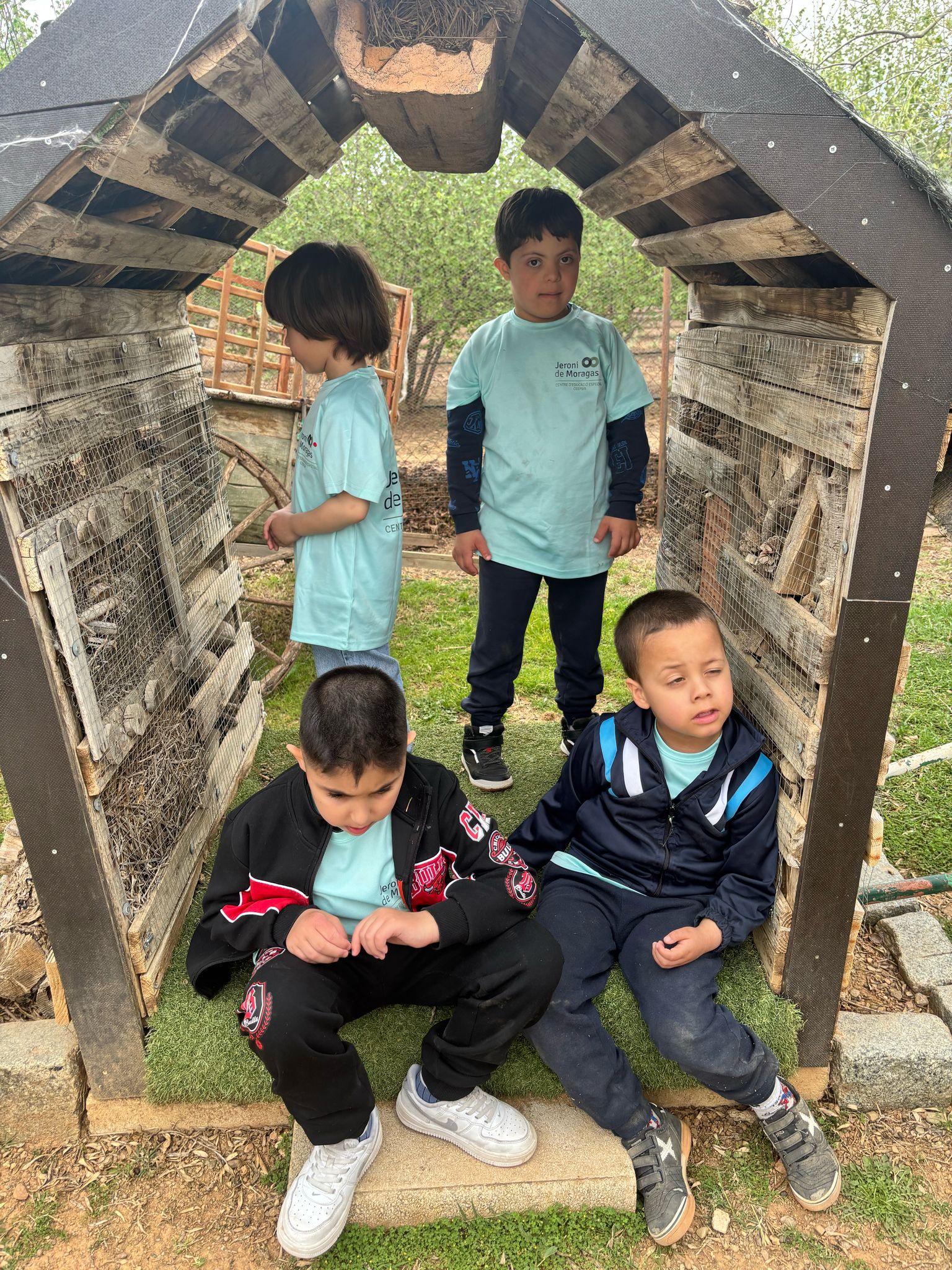 WhatsApp Image 2025-04-09 at 15.37.23