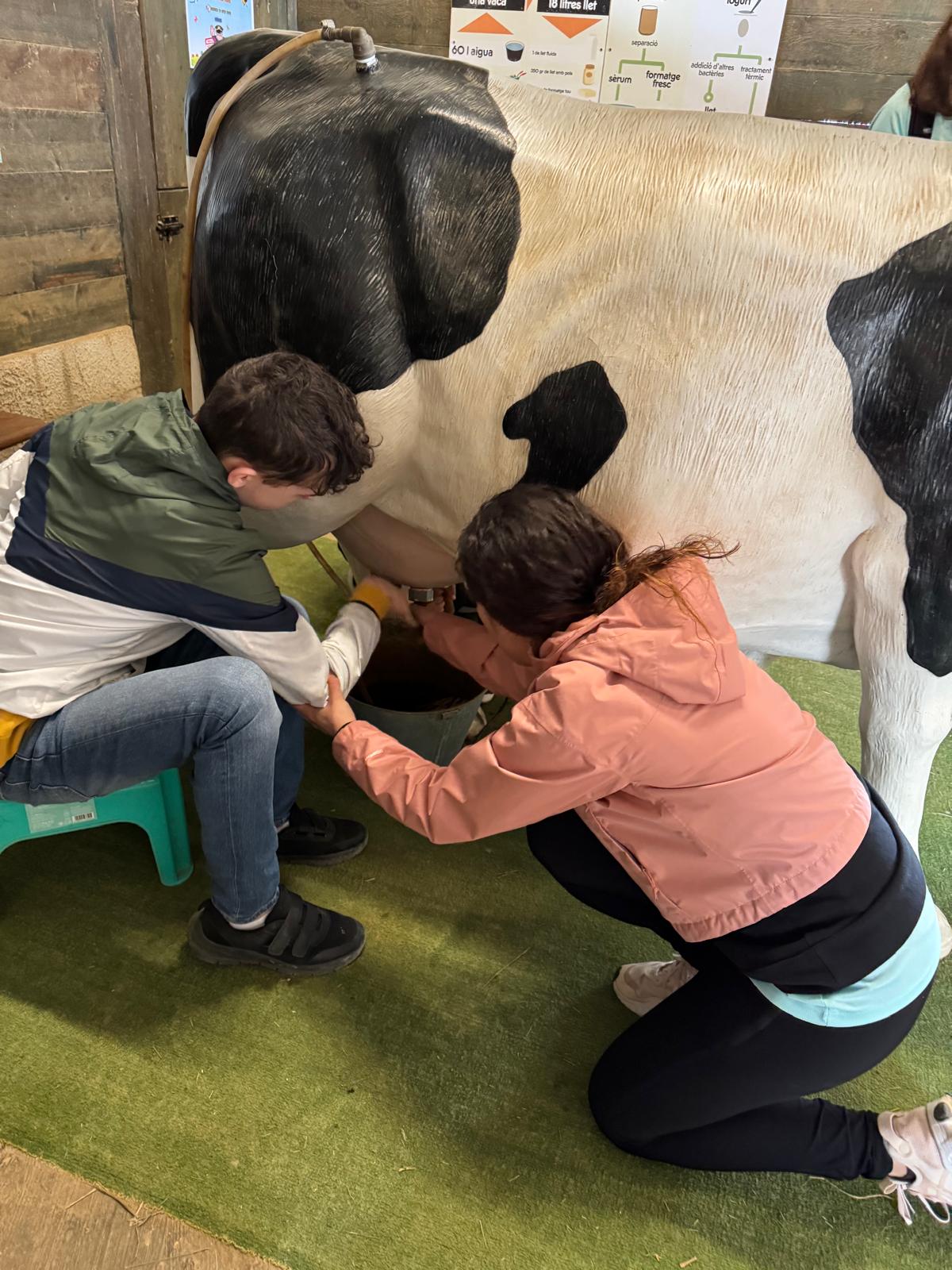 WhatsApp Image 2025-04-09 at 15.38.19 (1)