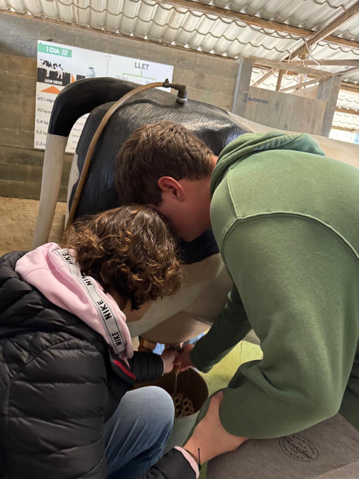 WhatsApp Image 2025-04-09 at 15.38.19 (2)