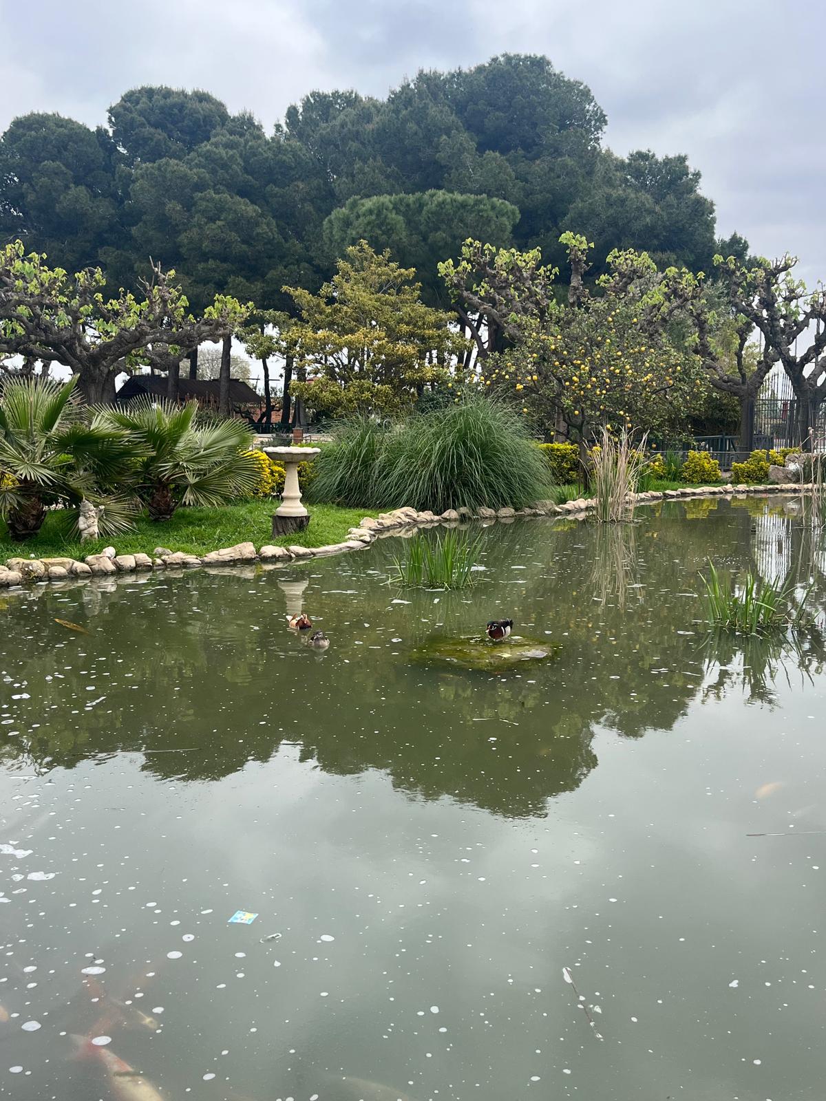 WhatsApp Image 2025-04-09 at 17.14.49 (5)