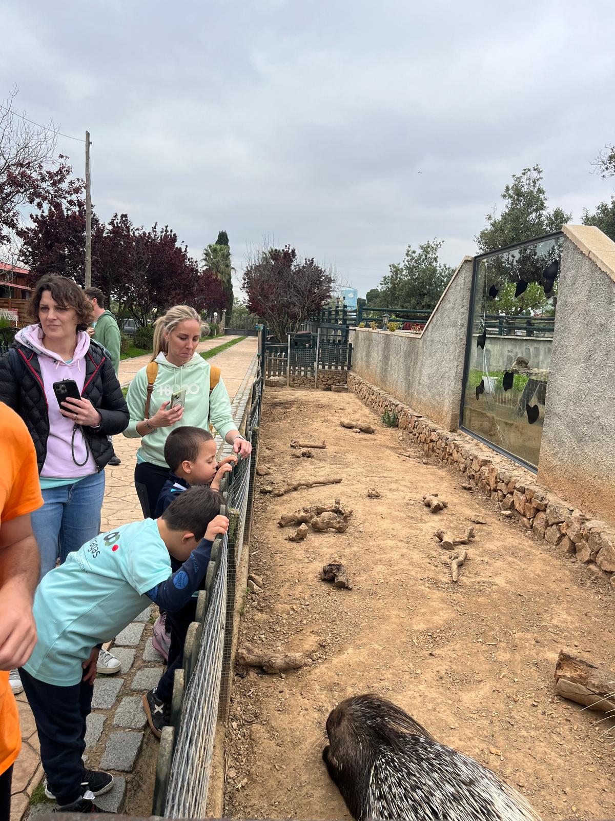 WhatsApp Image 2025-04-09 at 17.15.35 (5)