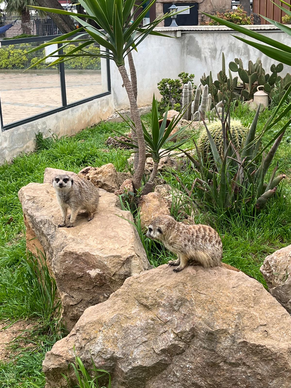 WhatsApp Image 2025-04-09 at 17.15.35 (7)