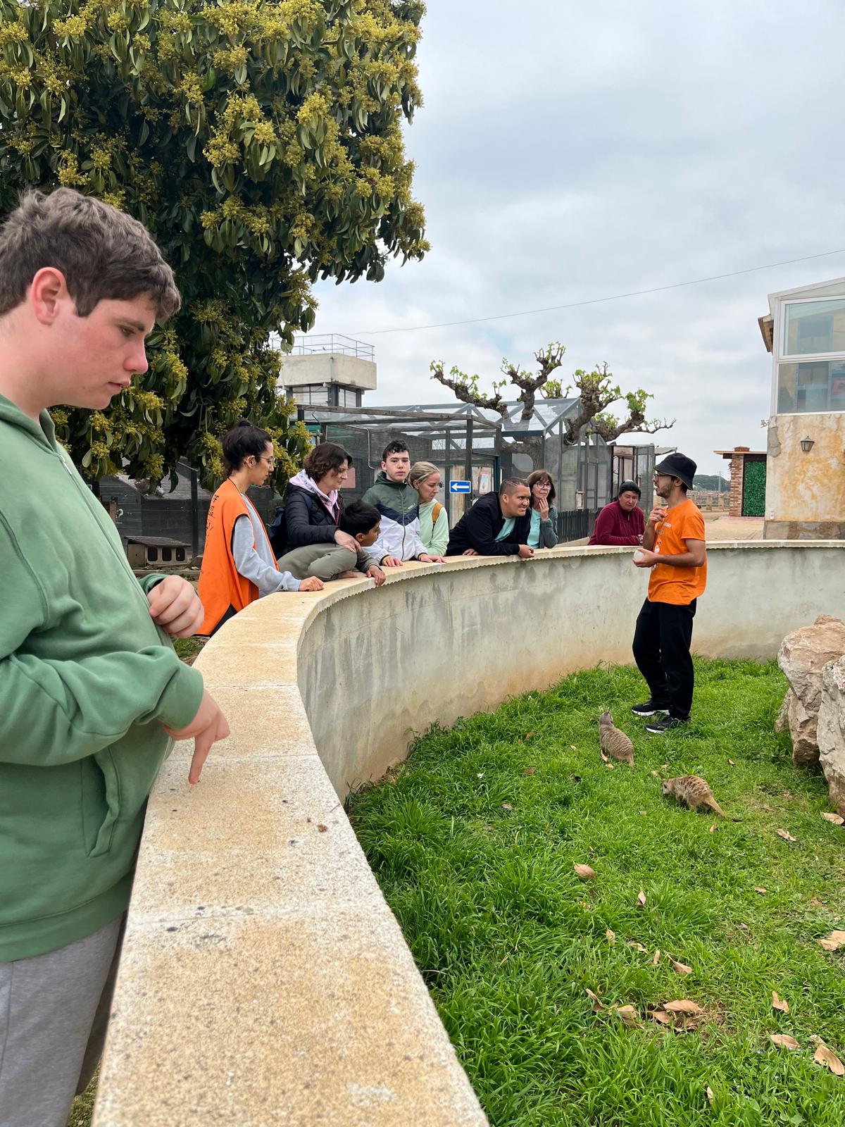 WhatsApp Image 2025-04-09 at 17.15.36 (2)