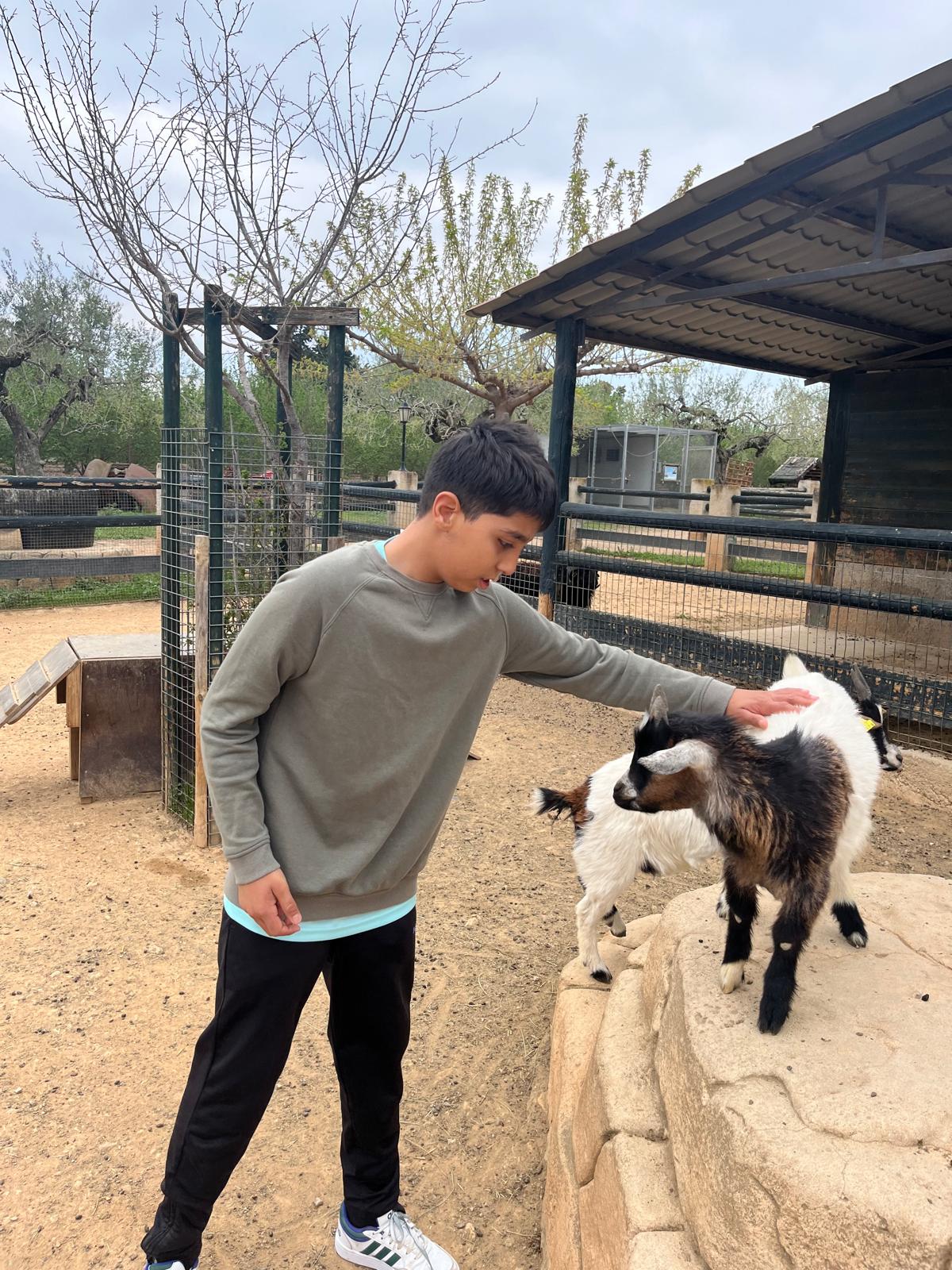 WhatsApp Image 2025-04-09 at 17.16.11 (3)