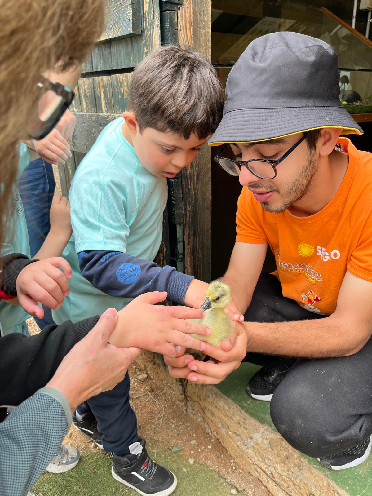 WhatsApp Image 2025-04-09 at 17.16.14 (8)