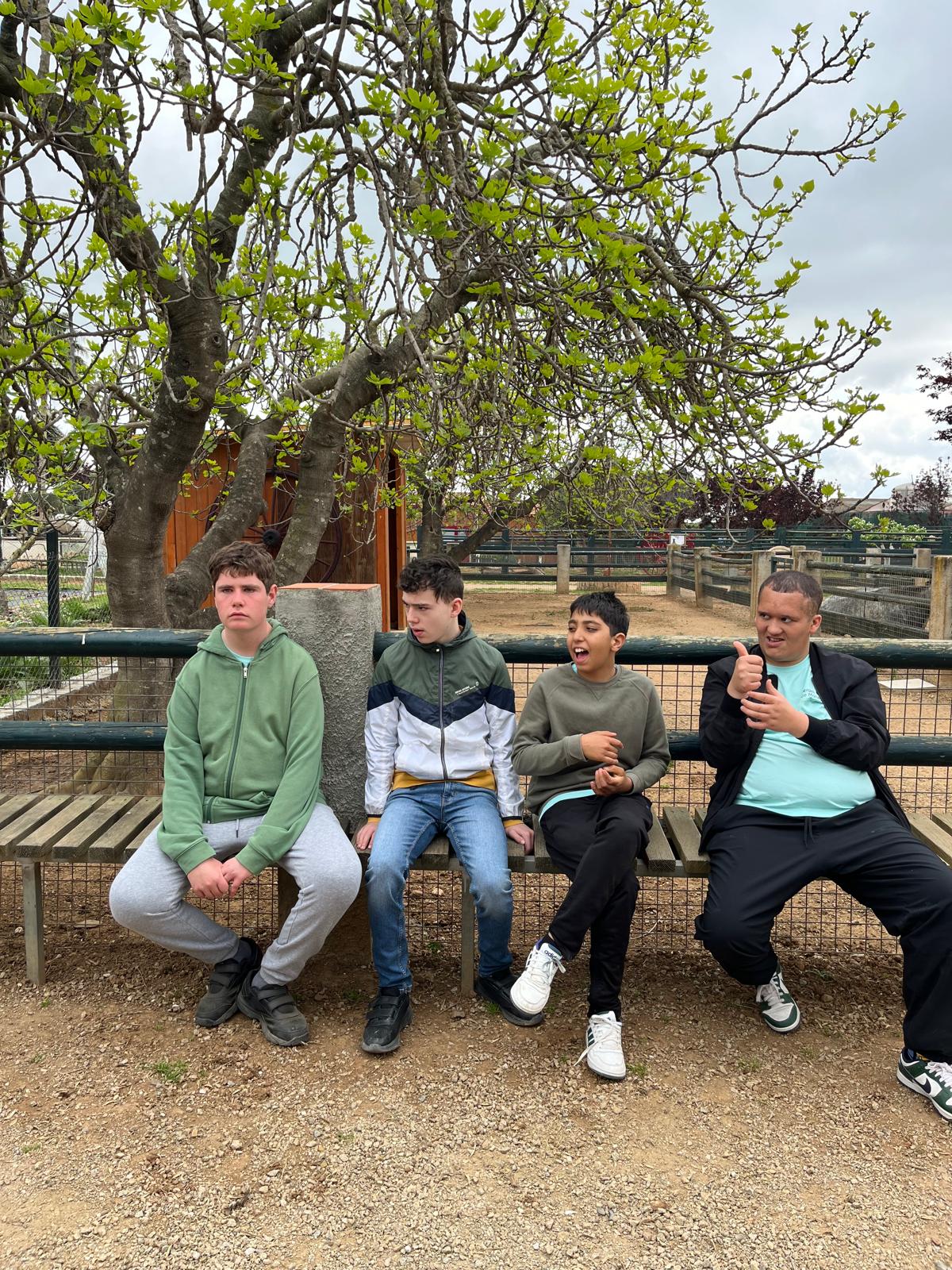 WhatsApp Image 2025-04-09 at 17.17.15