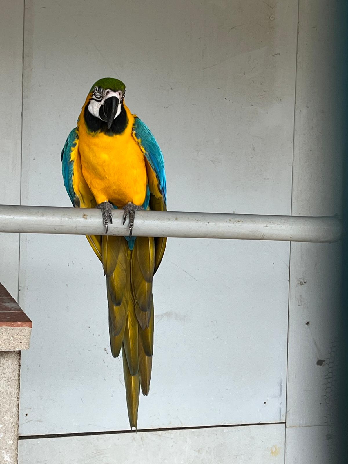 WhatsApp Image 2025-04-09 at 17.17.17 (1)