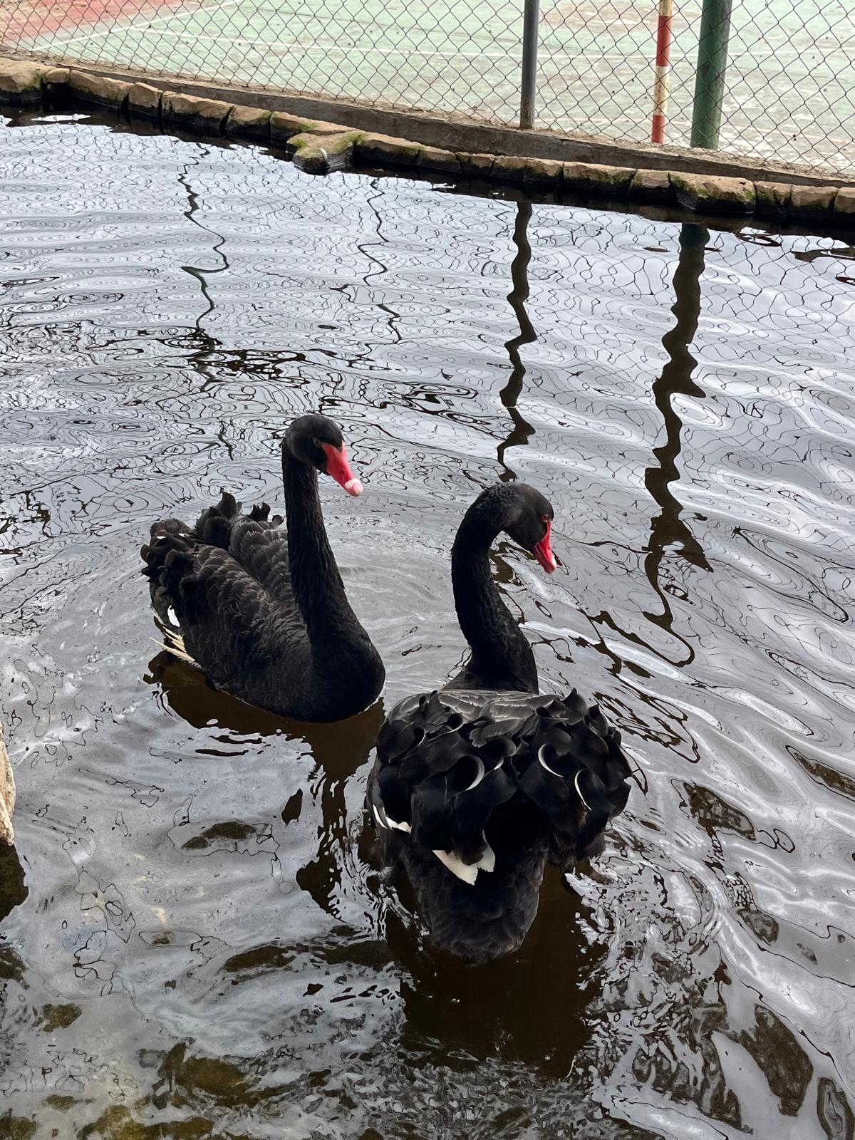 WhatsApp Image 2025-04-09 at 17.17.17 (7)