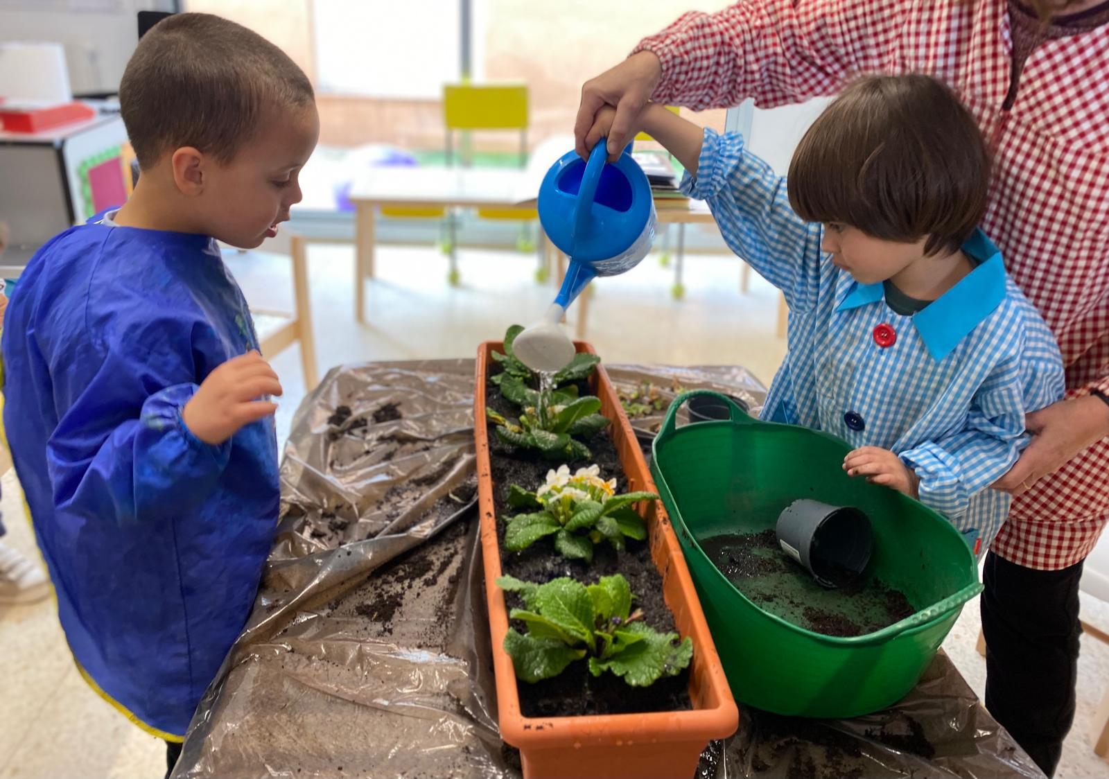 WhatsApp Image 2025-05-15 at 22.58.43 (2)