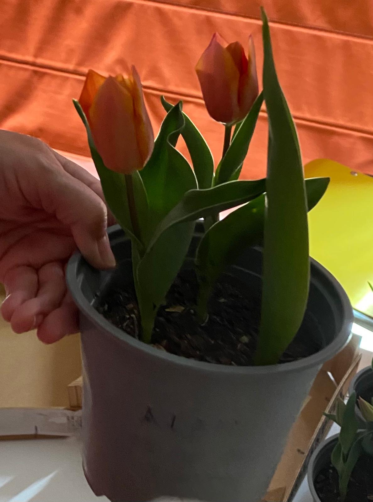 WhatsApp Image 2025-05-15 at 22.59.58 (8)