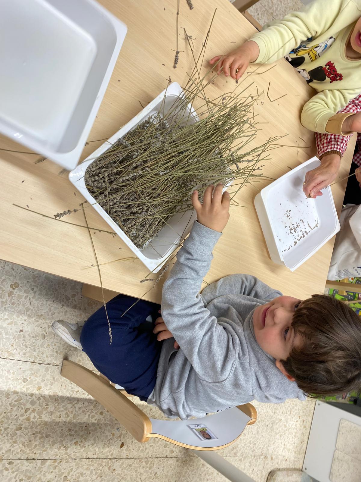 WhatsApp Image 2025-05-15 at 22.59.59