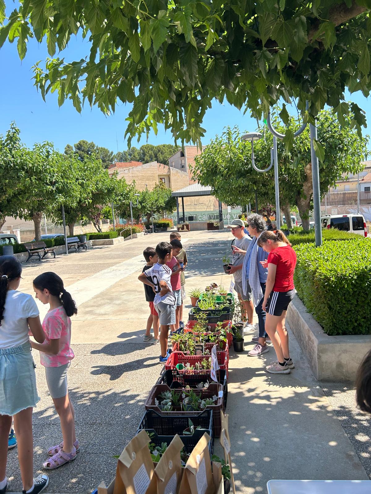 WhatsApp Image 2025-05-30 at 16.58.45 (2)