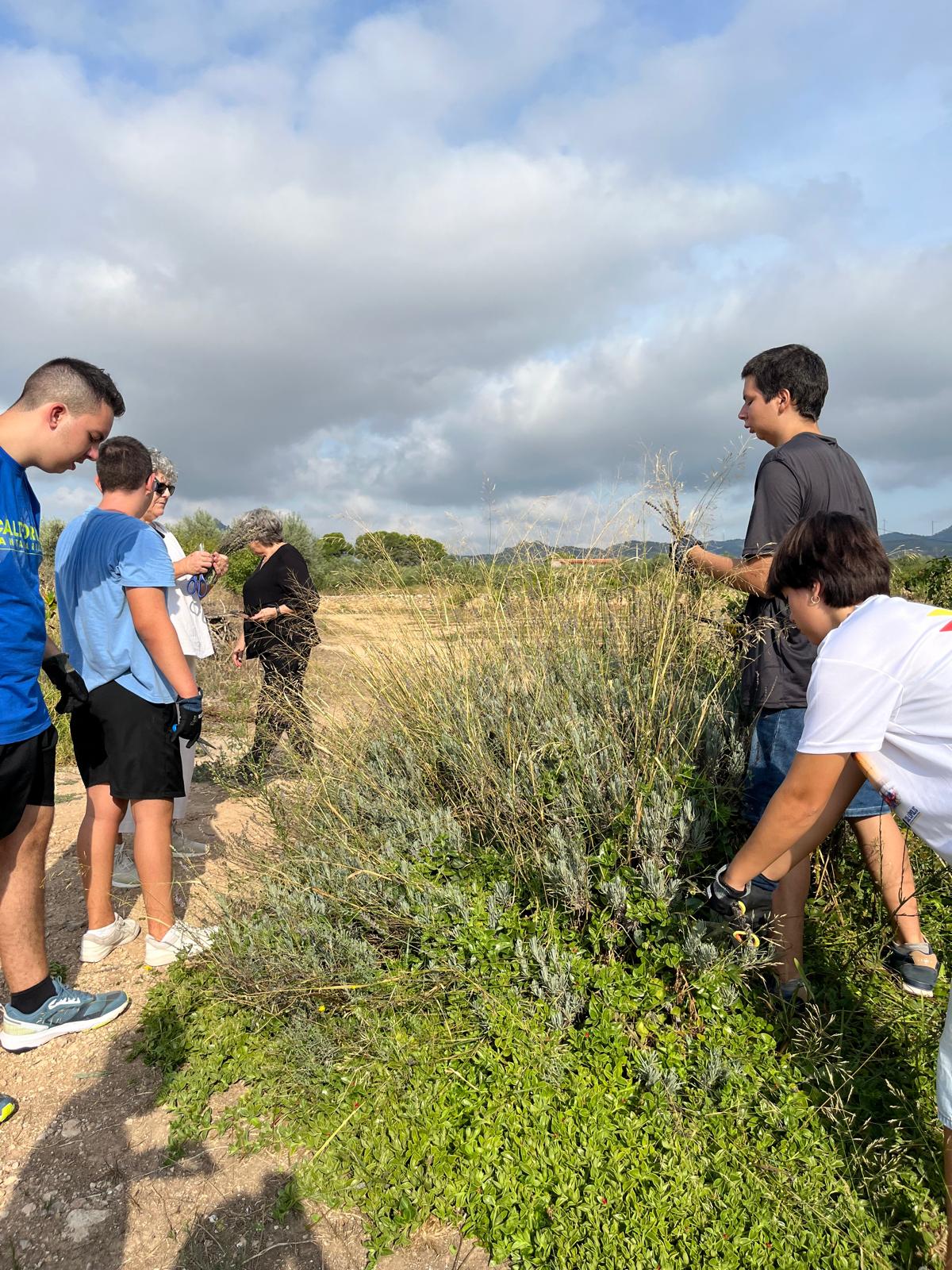 WhatsApp Image 2025-09-17 at 15.28.10 (3)