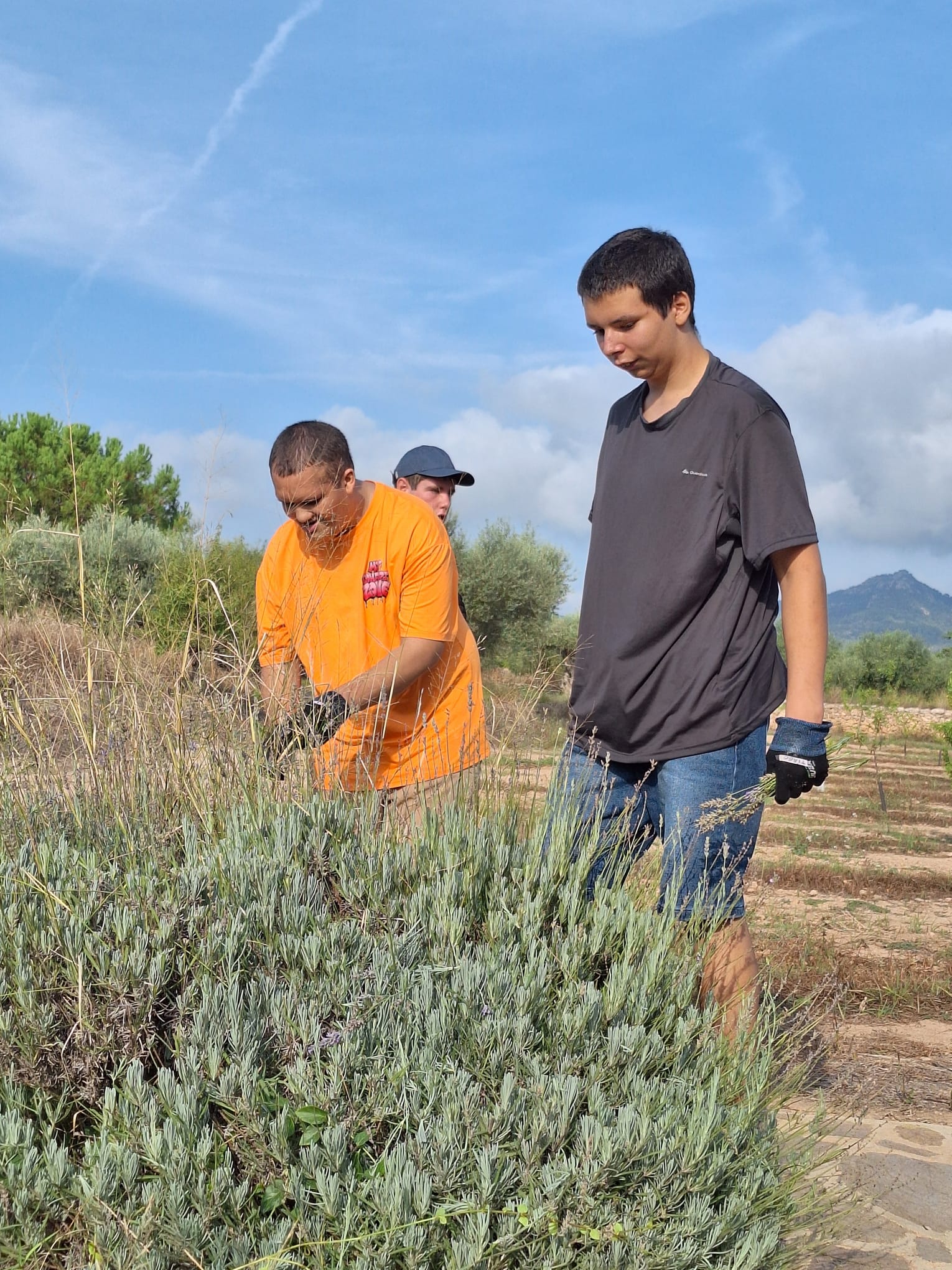 WhatsApp Image 2025-09-19 at 12.44.48 (3)