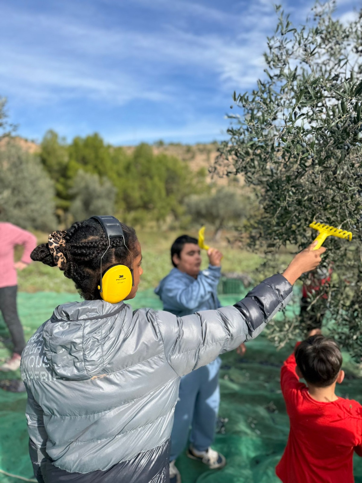 WhatsApp Image 2025-11-12 at 13.01.35 (1)