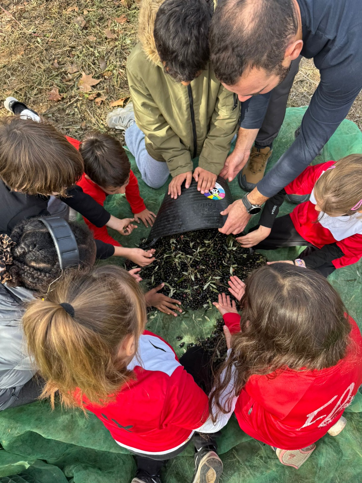 WhatsApp Image 2025-11-12 at 13.01.35 (2)