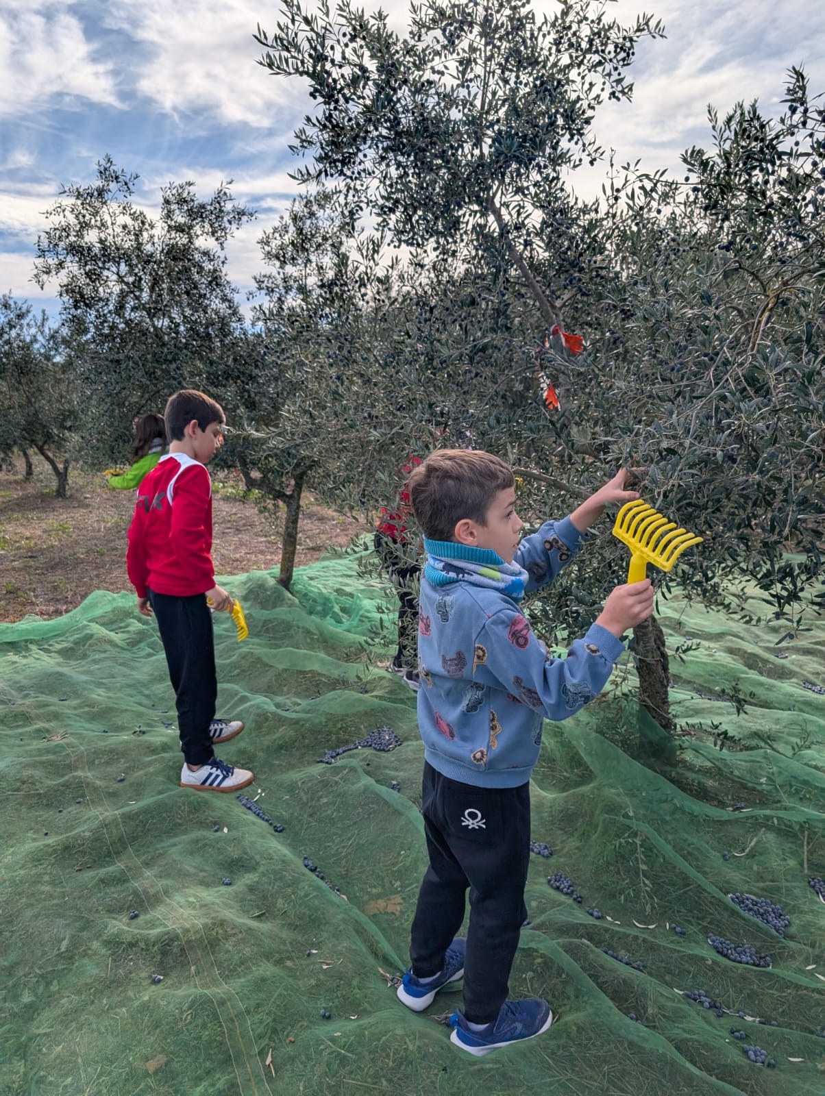 WhatsApp Image 2025-11-12 at 13.01.35 (5)