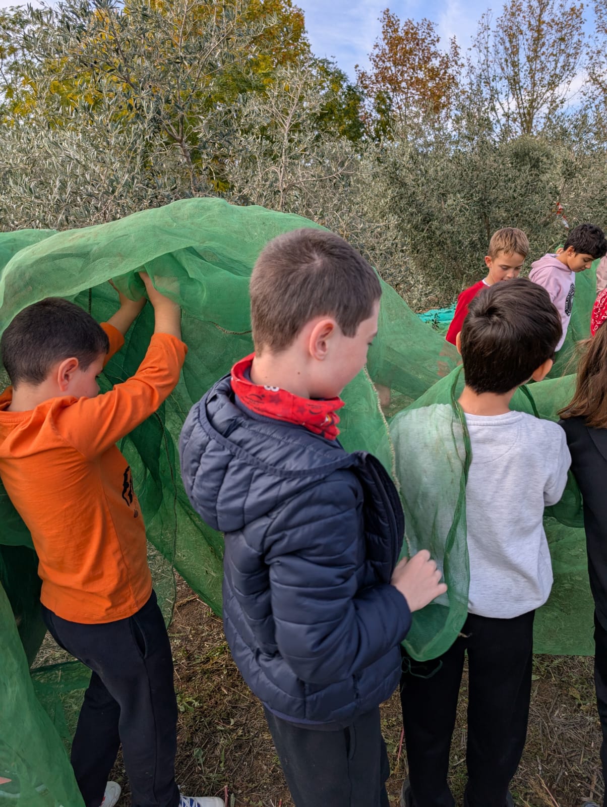 WhatsApp Image 2025-11-12 at 13.01.35 (6)