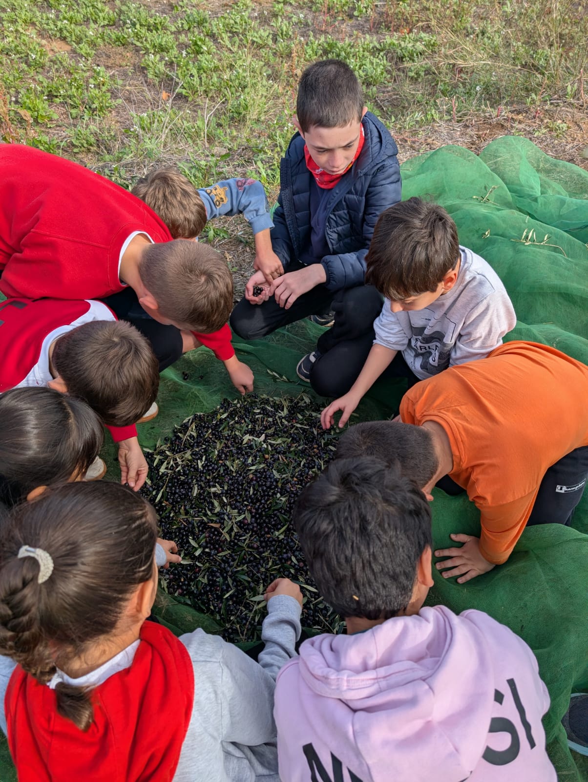 WhatsApp Image 2025-11-12 at 13.01.35 (8)