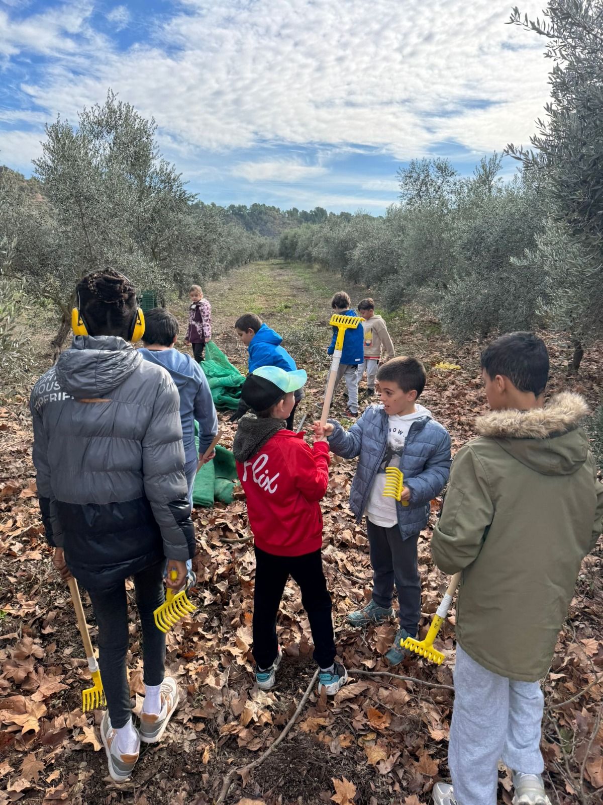 WhatsApp Image 2025-11-12 at 13.01.35