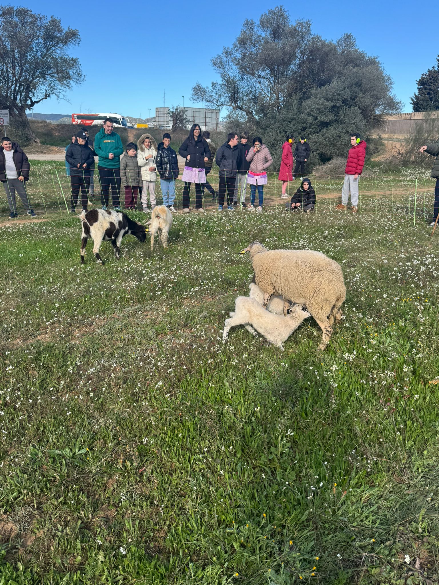 WhatsApp Image 2026-01-23 at 12.32.57